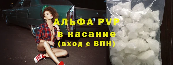 гашик Нея
