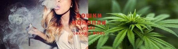 гашик Нея
