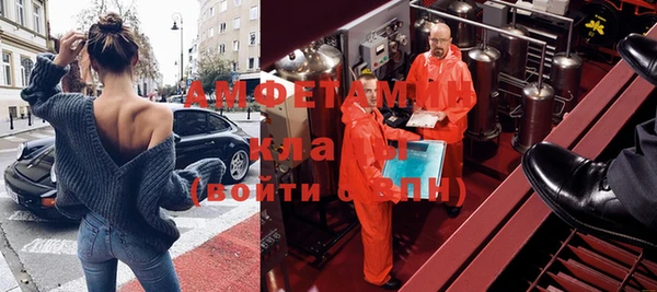 гашик Нея