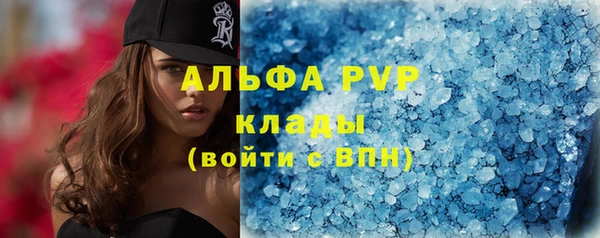 гашик Нея