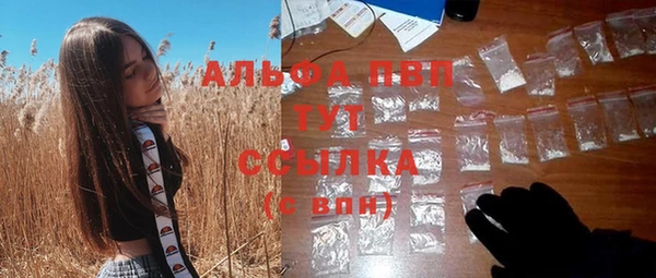 гашик Нея