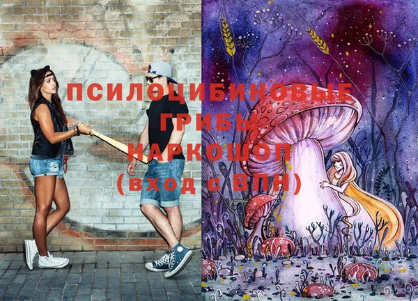 крисы Надым