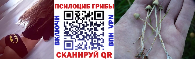 Псилоцибиновые грибы MAGIC MUSHROOMS  Купить  Железногорск-Илимский 