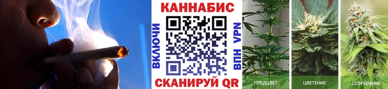 Бошки марихуана семена Купить Железногорск-Илимский